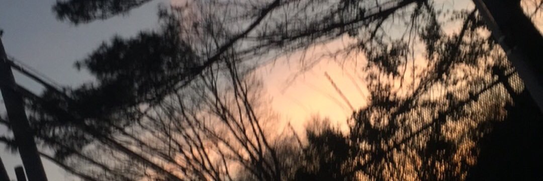 kayla3472's profile banner image