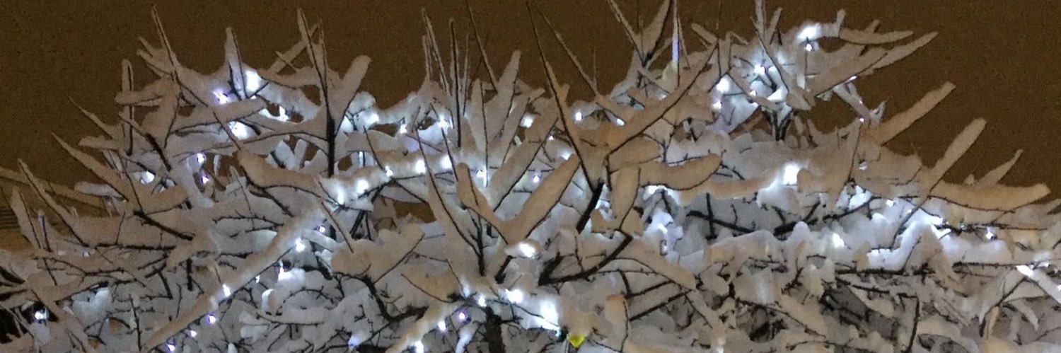 Holly banner