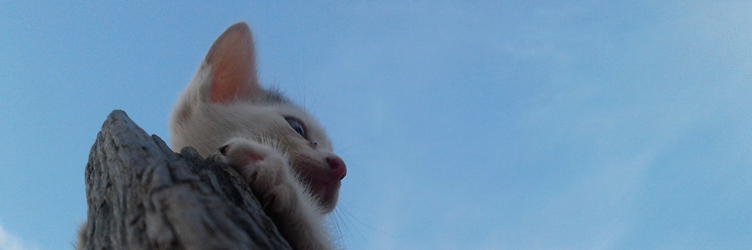 YuwatidaL's profile banner image