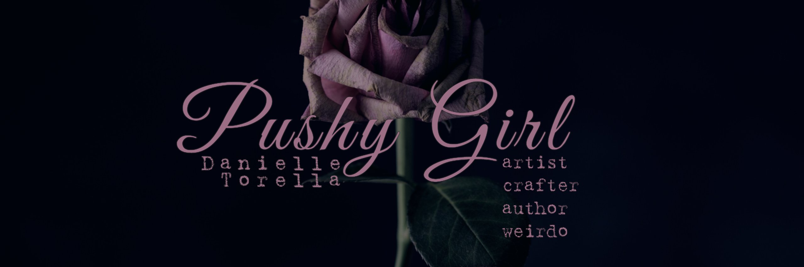 DanielleTorella's profile banner image