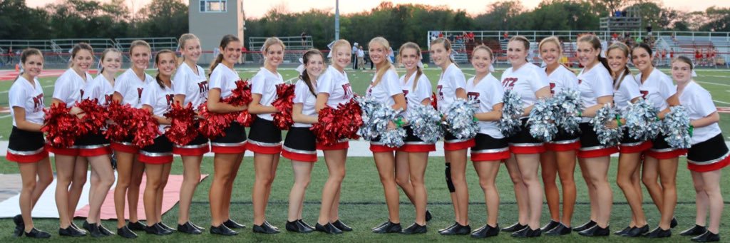 MtzPoms's profile banner image