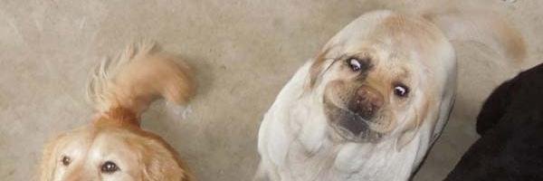 Melina_b's profile banner image