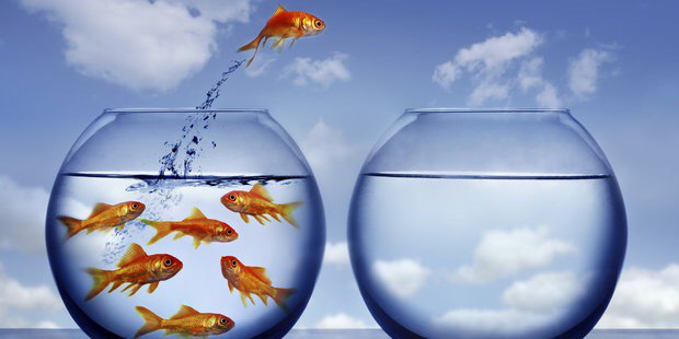 LeapWithTweets's profile banner image