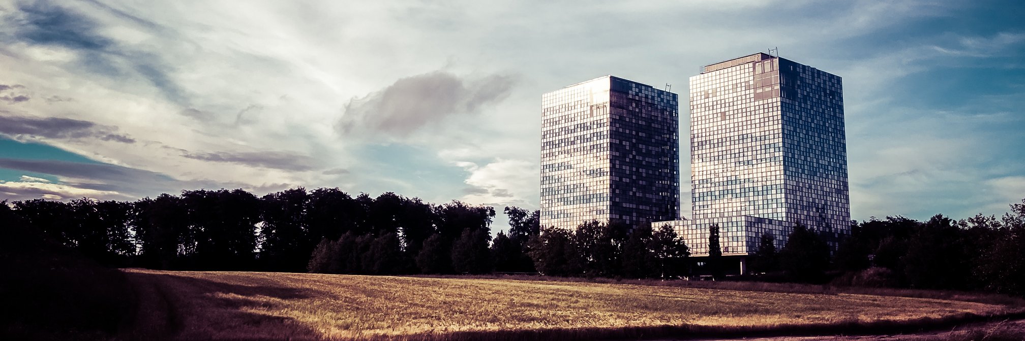 Markos Giannopoulos banner