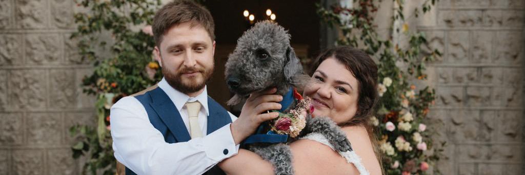 Rich Wheeler 🍜🧑‍🦯 banner