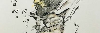 shihocafe's profile banner image