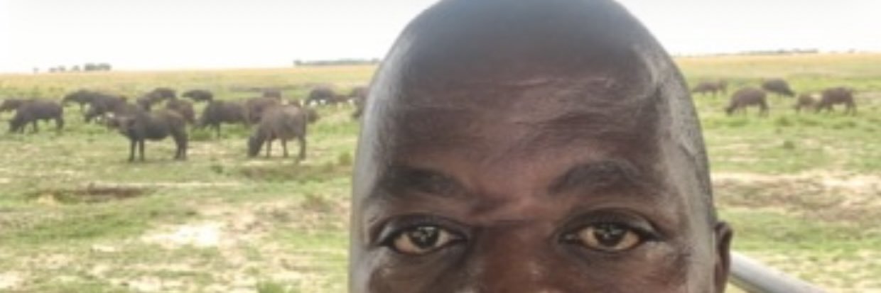 edmorech's profile banner image
