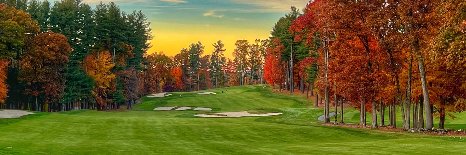 Mike Lisavich banner