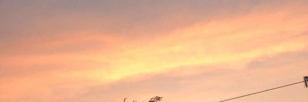 jiaaful's profile banner image