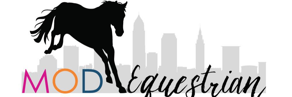 ModEquestrian's profile banner image