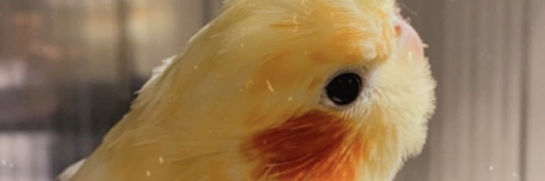 thaispalxma's profile banner image