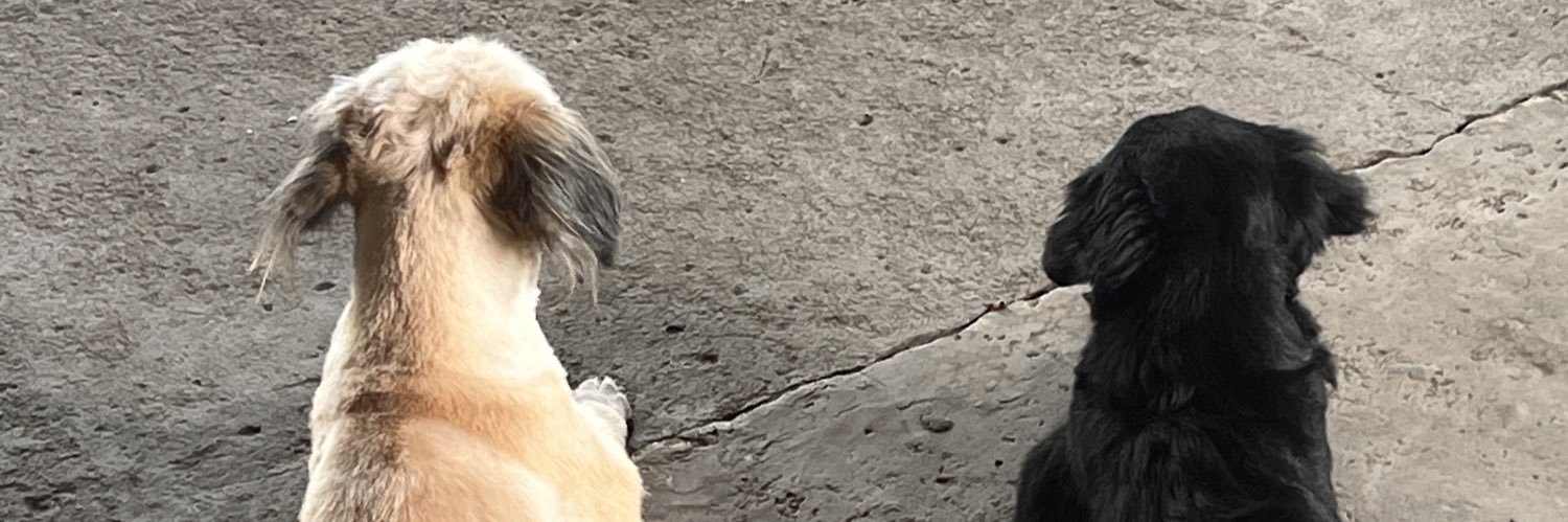 okhayeeee's profile banner image