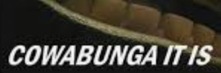 turtlesnjunk's profile banner image