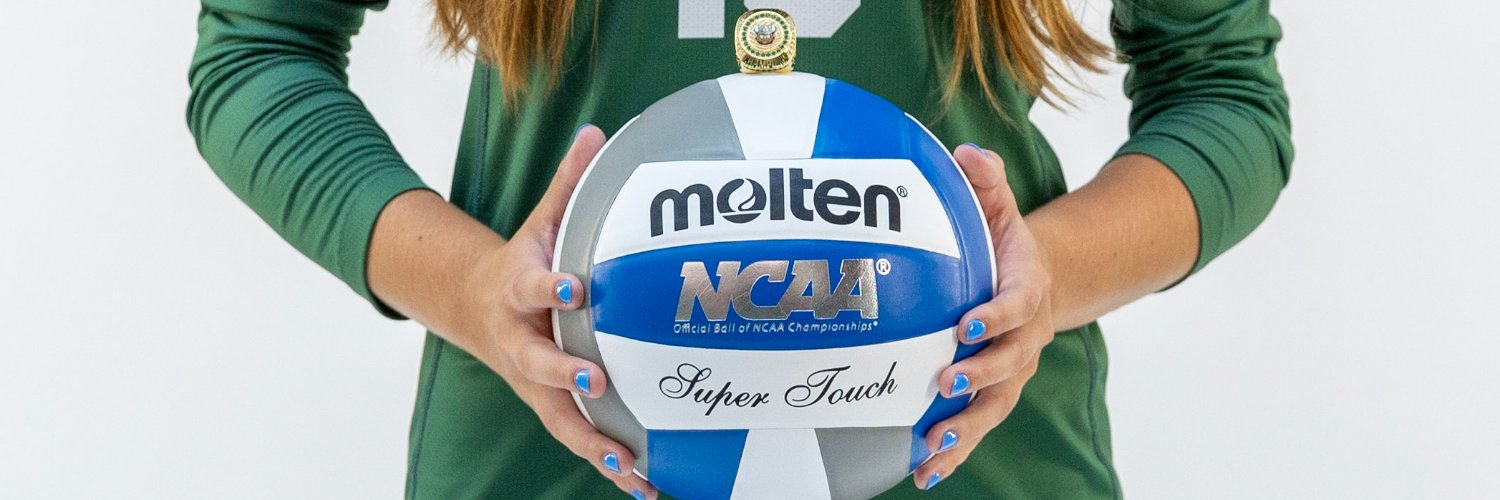 Cleveland State Volleyball banner