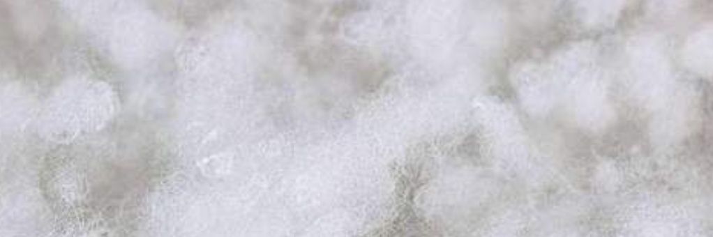 SofeaGideon's profile banner image