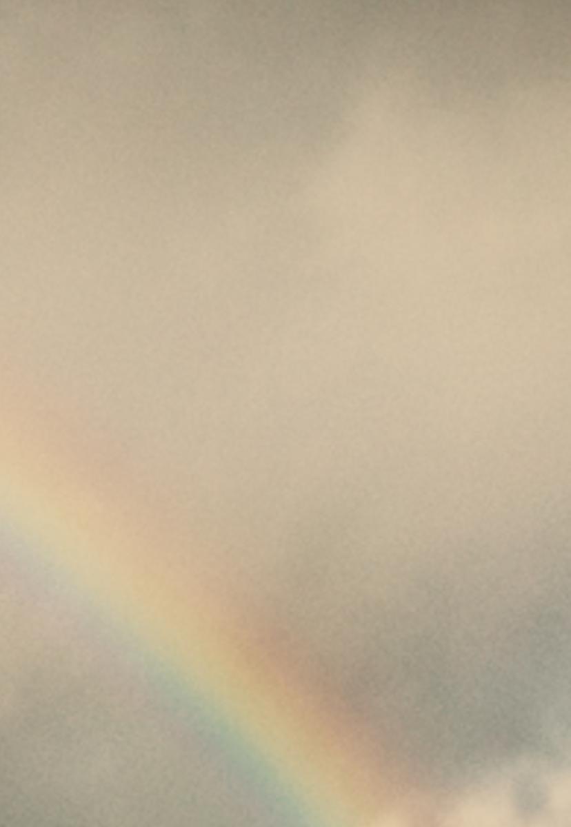 wifond's profile banner image