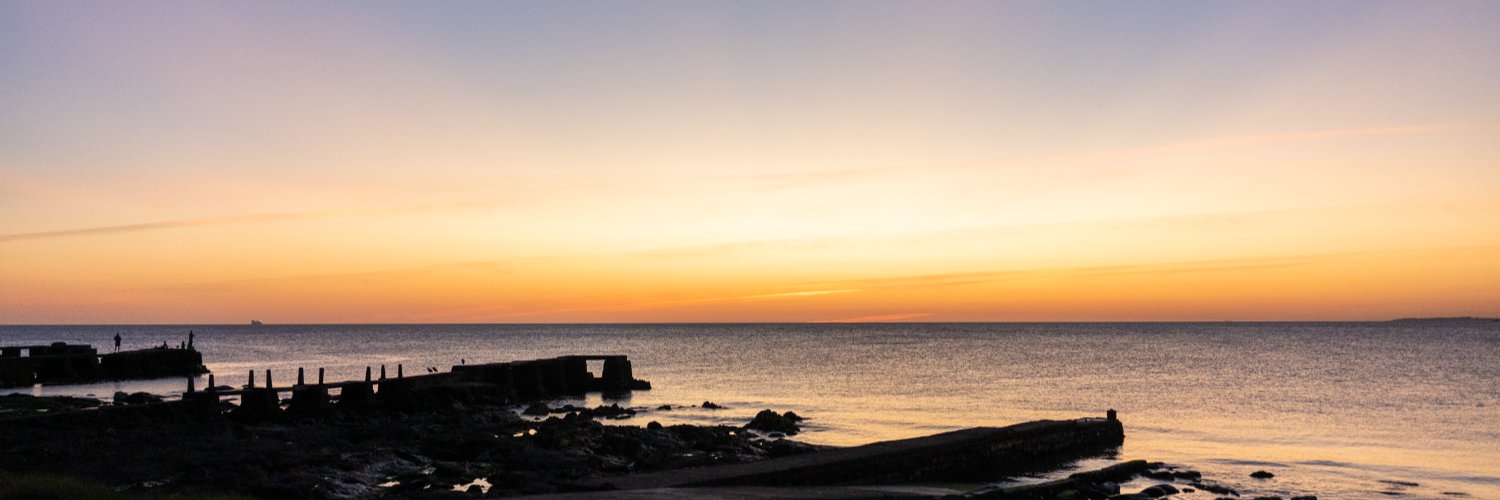 Sofía Aguerre 🪲 banner