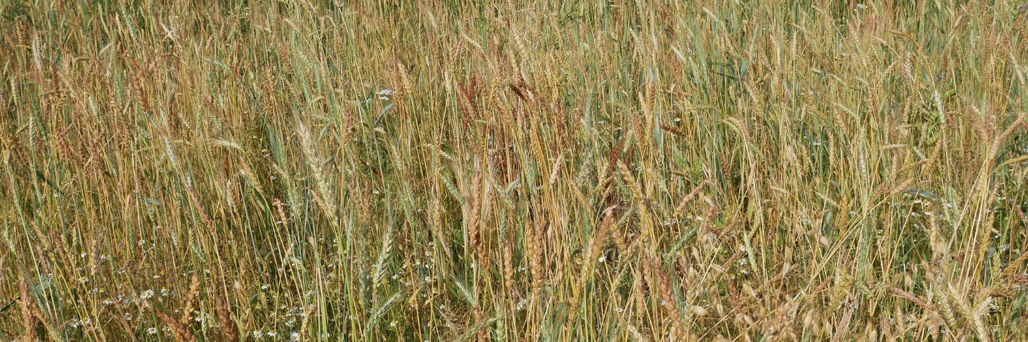 Alban Dericbourg (@adericbourg@mastodon.social) banner