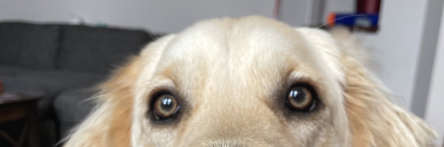 KLeahy12's profile banner image