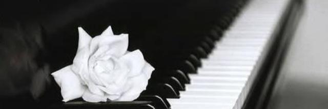 Mustofa_L's profile banner image
