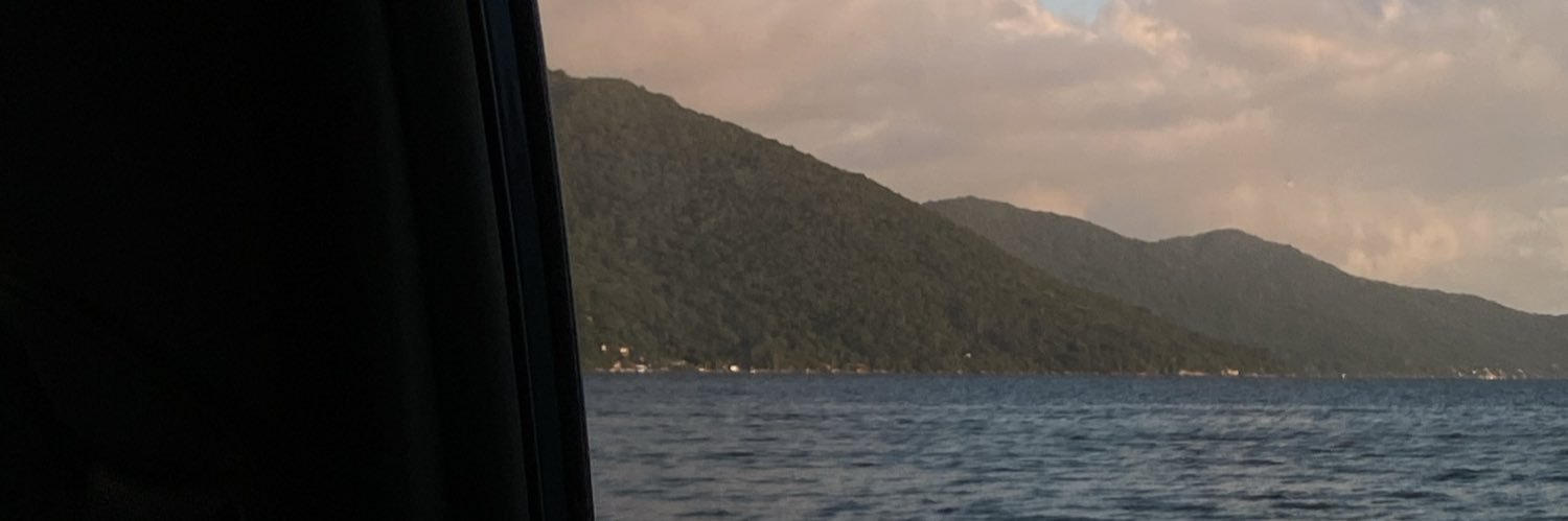 viicsv's profile banner image