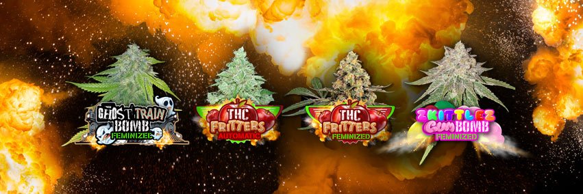 BombSeeds's profile banner image