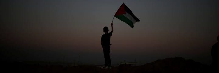 lilomarrrr's profile banner image