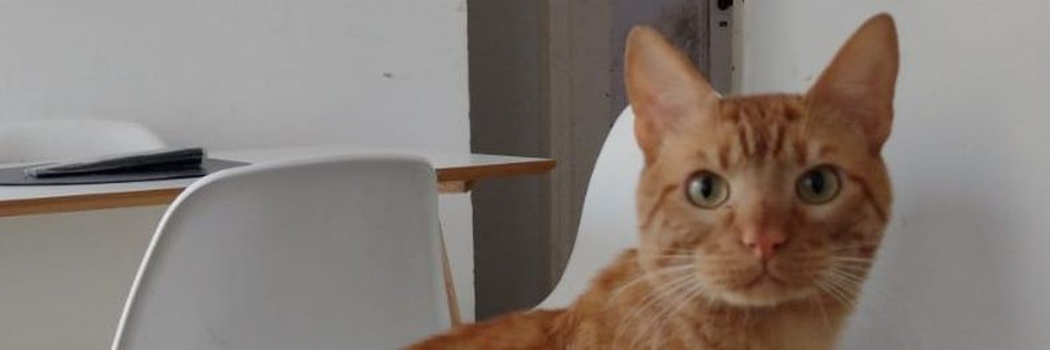 RominaMS_'s profile banner image