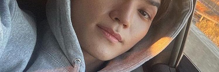 anisatica_'s profile banner image