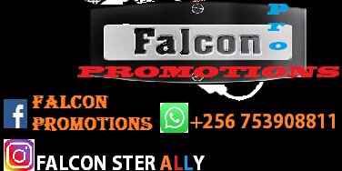 falconmash's profile banner image