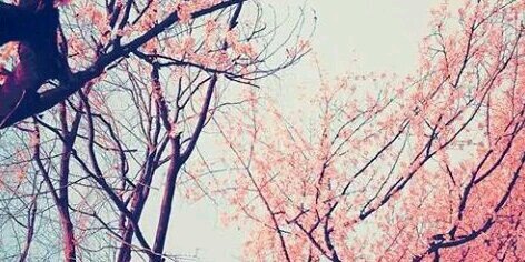 ACardielm's profile banner image