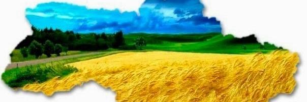allavida4751's profile banner image