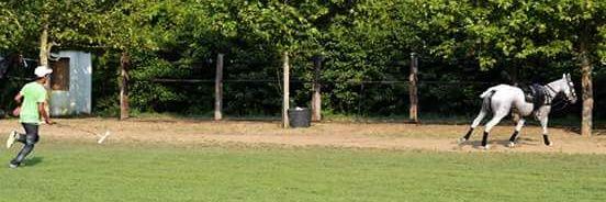 29f439dcf1c6419's profile banner image