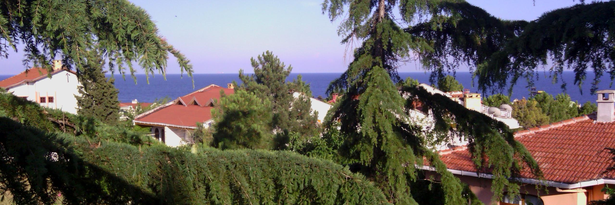 Tülin banner