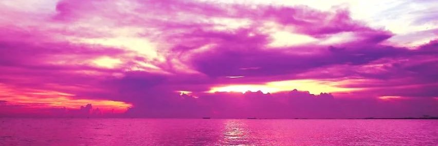 DiLaxed©️ banner
