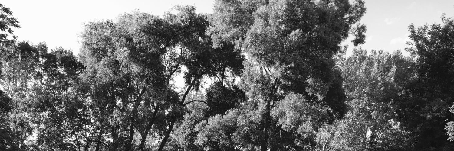 Sunshine6366's profile banner image