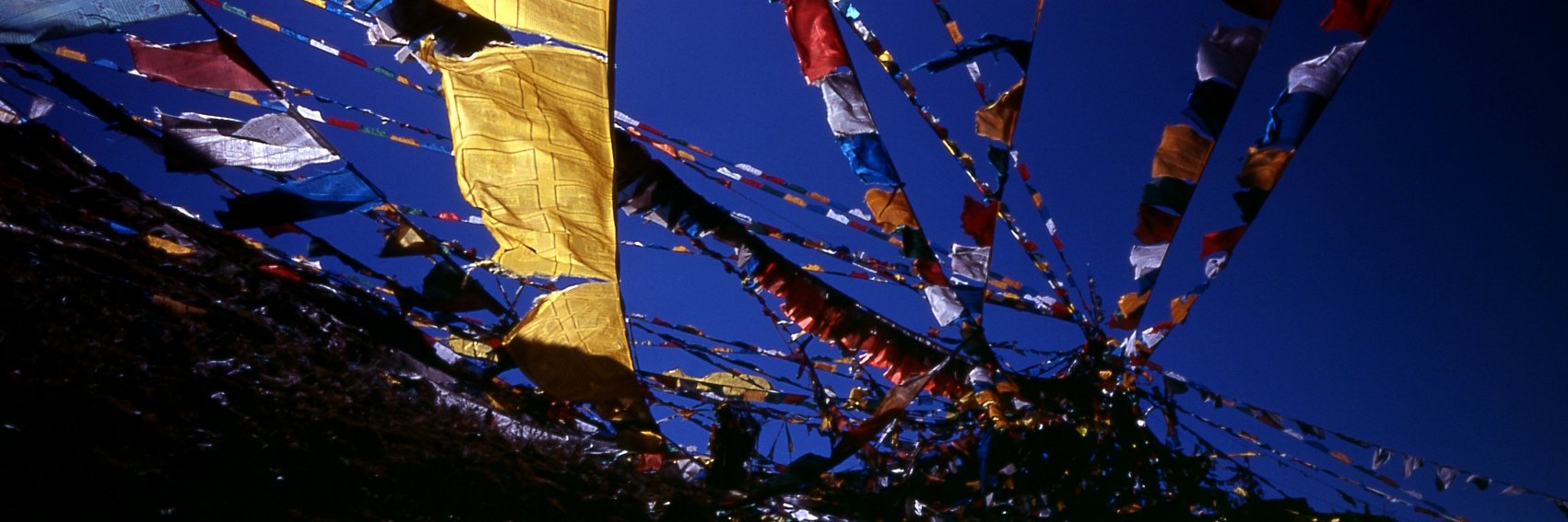 Tiphaine Blaya banner