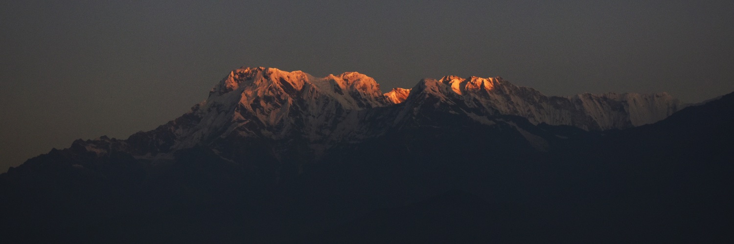 Ali Shiravand's banner