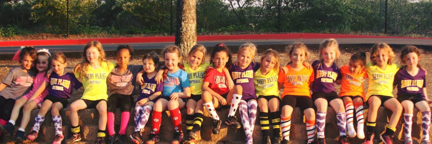 SPSASoftball's profile banner image