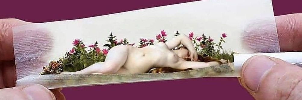 afroditsexx's profile banner image