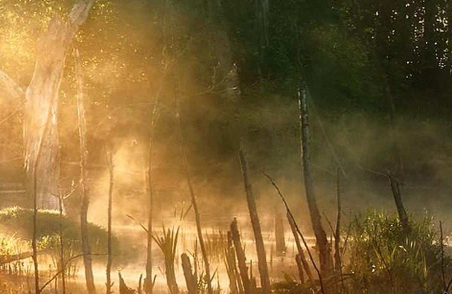 redocymag's profile banner image