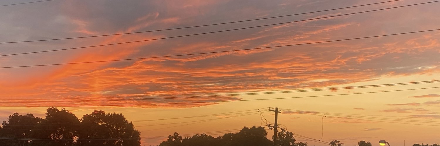 ladaee_'s profile banner image