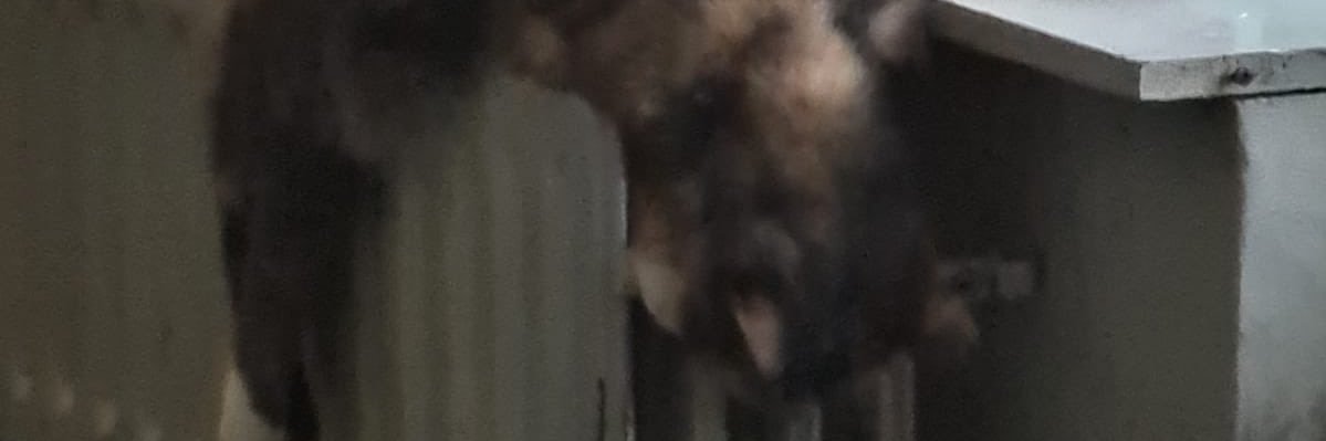 DelanoPackbier's profile banner image