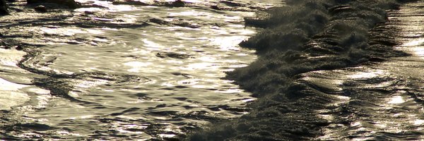 PViotCoster Profile Banner