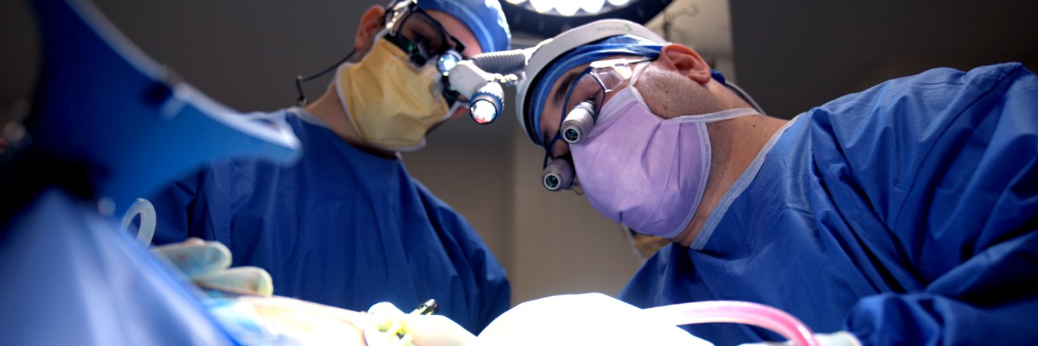 Westchester Medical Center Health Network banner