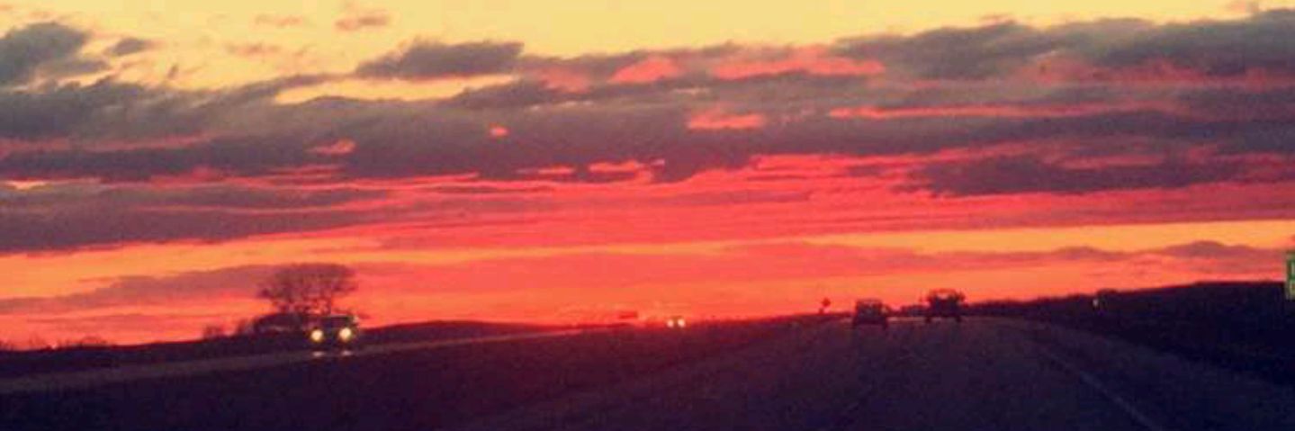 Janice377's profile banner image