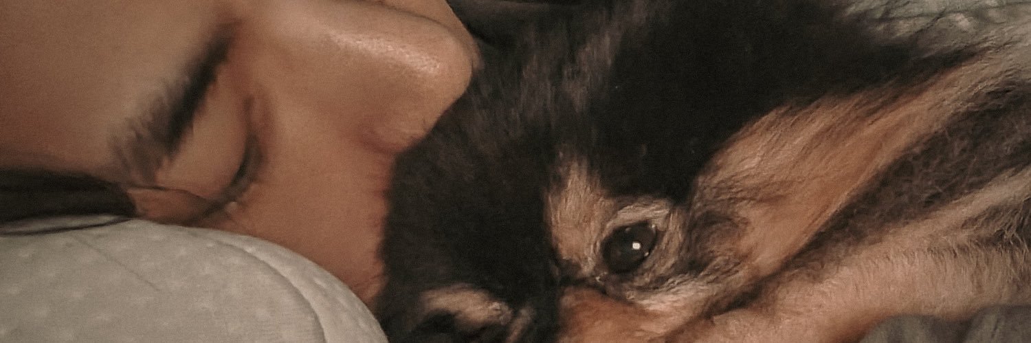 rizabrille's profile banner image