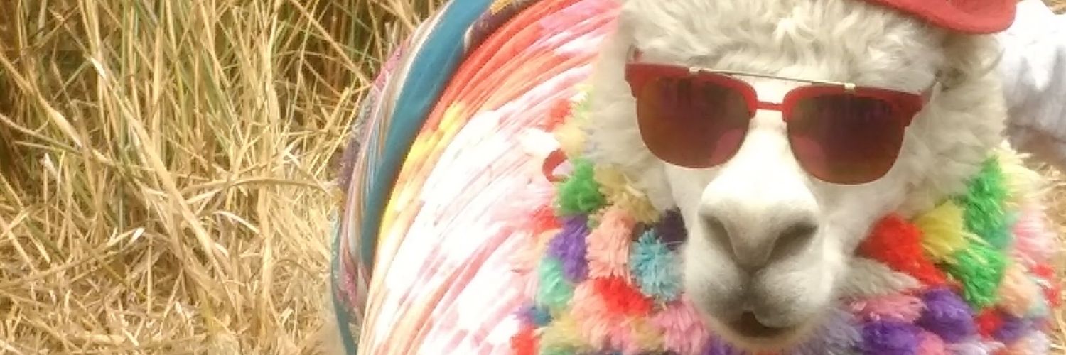 emarx's profile banner image