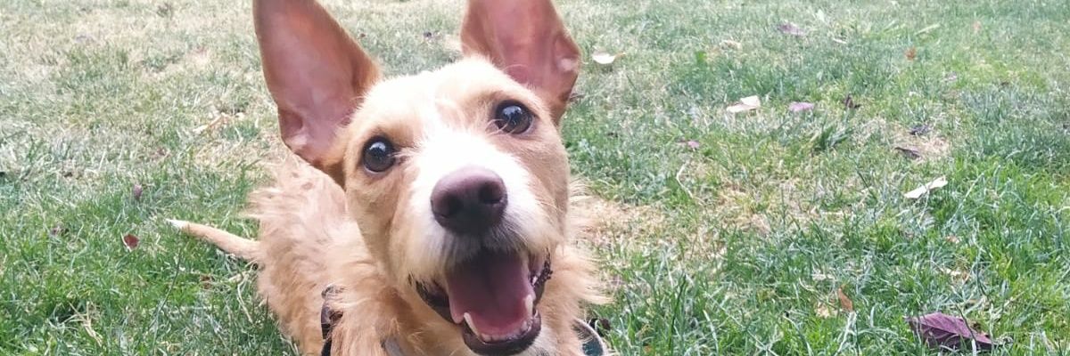 Francisco Escudero banner