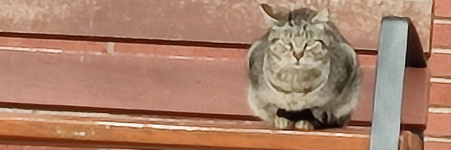 MasuAnna's profile banner image